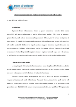 Il sistema sanzionatorio italiano a tutela dell`ambiente marino