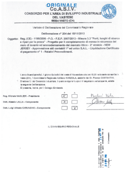 Delibera n. 204 del 15/11/2013