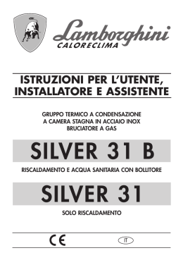 silver 31 b silver 31