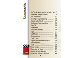 La Carta dei Servizi della Cgil Nazionale... pag. 2