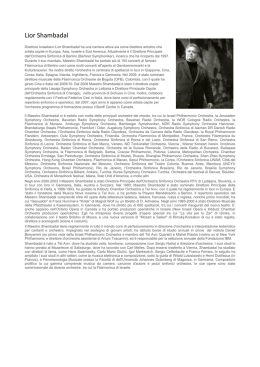 Curriculum Vitae Lior Shambadal