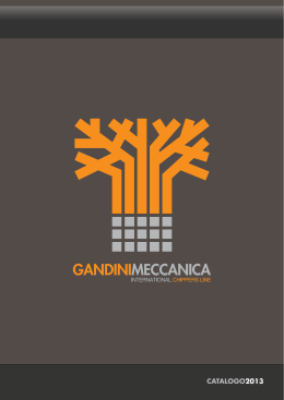 Gandini Meccanica