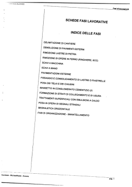 schede fasi lavorative indice delle fasi