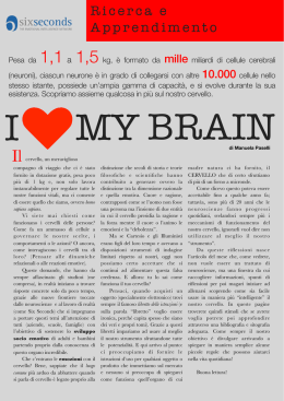 I love my brain! - Liceo Maria Ausiliatrice