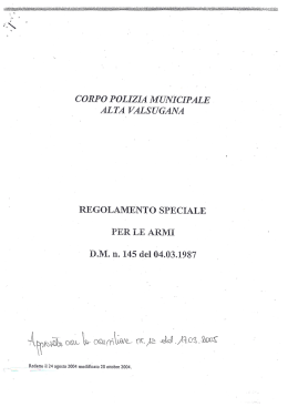 Testo (File "regolamento