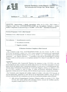 DELIBERA 356_ Impresa Luigi Cioce_ Anno