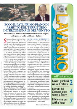 Lavagno Informa n. 1-2008