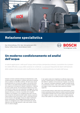 Relazione specialistica - Bosch Industriekessel GmbH