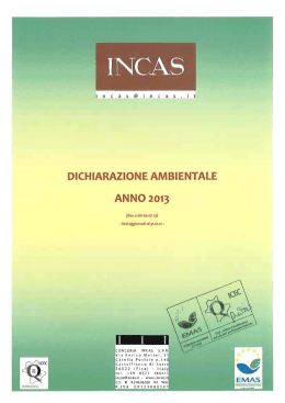 Page 1 S S.P.PI.| tel, | Fl. toI 1 Vers.` 501 DICHIARAZIONE