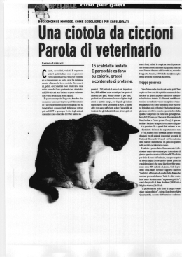 Una ciotola da ciccioni