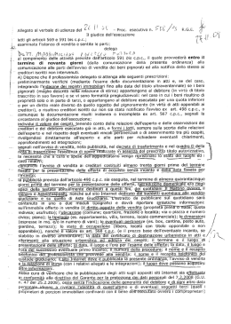 ordinanza di delega (pdf 494 kB)