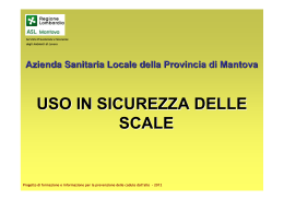 Potente S. - Linee guida Regione Lombardia utilizzo scale in edilizia