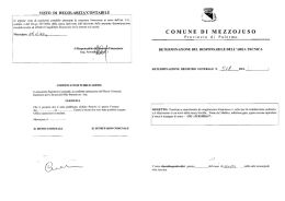 visto di regolarita`contabile