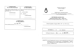 del settore finanziario del procedimento