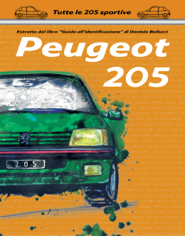Tutte le 205 sportive - Club Storico Peugeot