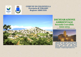 Scarica la dichiarazione ambientale 2013