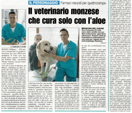 MONZA (Milano) _ Gli anti chi la chiamavano la guaritrice