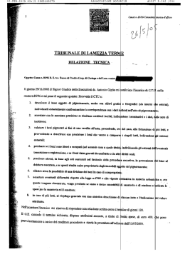 Scarica allegati: perizia on-line