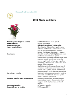 novit&agrave; presentate