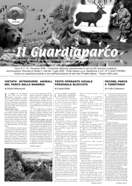 Il bollettino n° 16.qxp