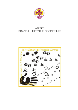 Le Piccole Orme (AGESCI), edizione 2008