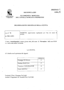 Regolamento Automezzi - Comunità Montana Castelli Romani e