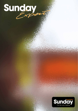 Master 2 - MASOLINI Stufe & Camini srl