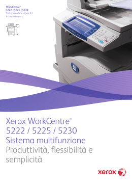 Xerox WorkCentre® 5222 / 5225 / 5230 Sistema