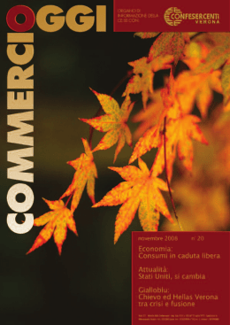 Numero 20 - Novembre 2008
