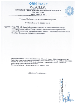 Delibera n. 9 del 28/01/2013