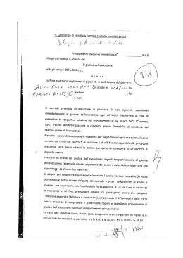 4. Ordinanza di vendita e nomina custode (vecchie proc.)