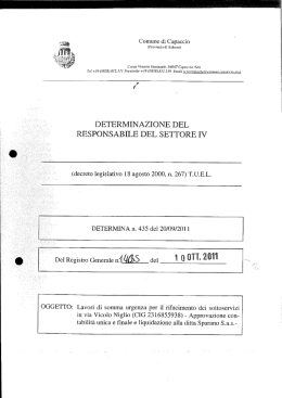 determinazione del responsabile del settore iv