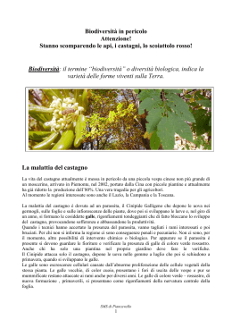 Biodiversità in pericolo - Scuola Media di Piancavallo