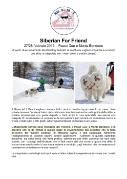 Siberian For Friend
