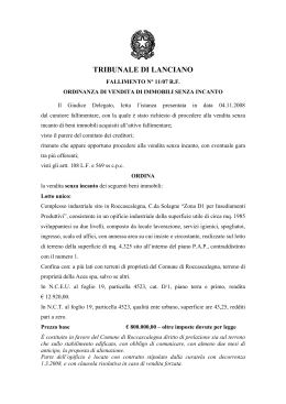 11- 2007 Ordinanza (pdf 116 kB) - Aste