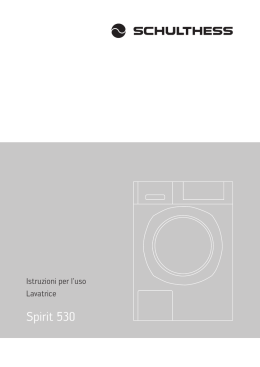 Spirit 530 - Schulthess