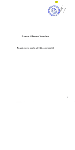 Regolamento per le Attivit&agrave; Commerciali