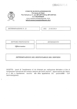 Determinazione N° 22 del 21/02/14