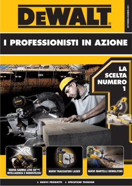 i professionisti in azione