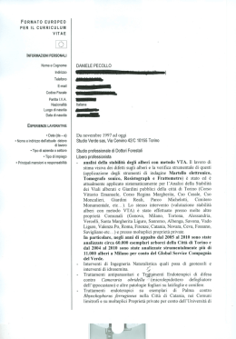 formato europeo per il curriculum