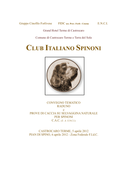 club italiano spinoni