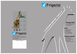 Frigerio Scale