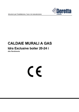 Idra Exclusive boiler 20-24