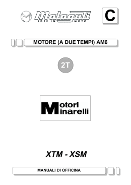 M0006 Xtm-Xsm 50 Motore