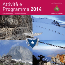 Attività e Programma 2014
