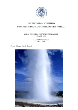 universit&agrave; degli studi di pisa facolt&agrave; di scienze matematiche, fisiche