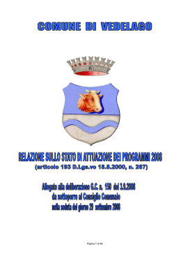 stato attuazione programmi 2008