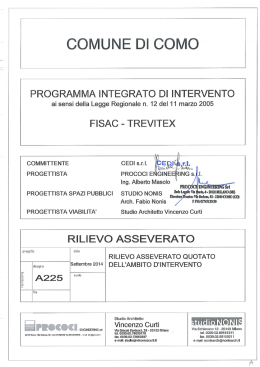 Tav. A225 Rilievo asseverato quotato dell`ambito