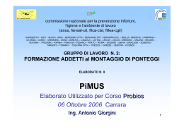 PIMUS (art. 36 comma 3 D.Lgs. 626/94)