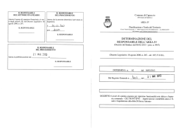 il responsabile del settore finanziario